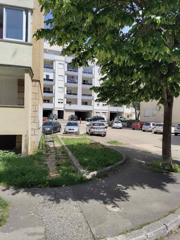 Nevena - image 7