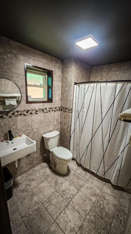 Superior Double Room image 4