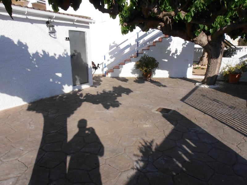 Abanicos 66 - image 10