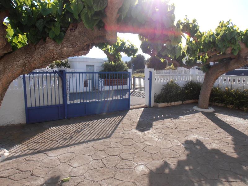 Abanicos 66 - image 19