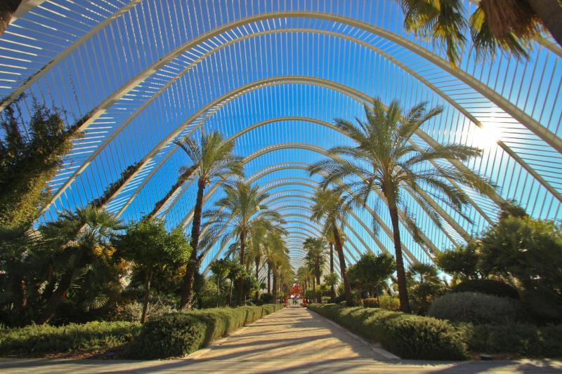 Mediterraneum Suite F - image 13
