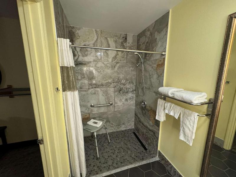 King Room with Roll-In Shower - Disability Access image 2