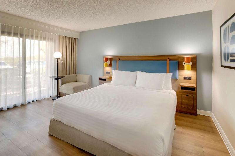 Mobility/Hearing Accessible Guestroom King Roll-In Shower image 3