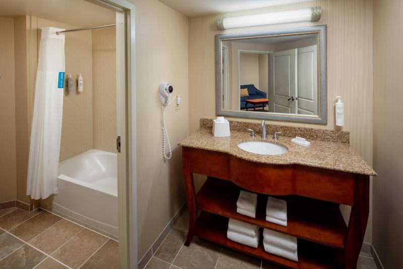 King Studio Suite with Sofa Bed - Non-Smoking image 3