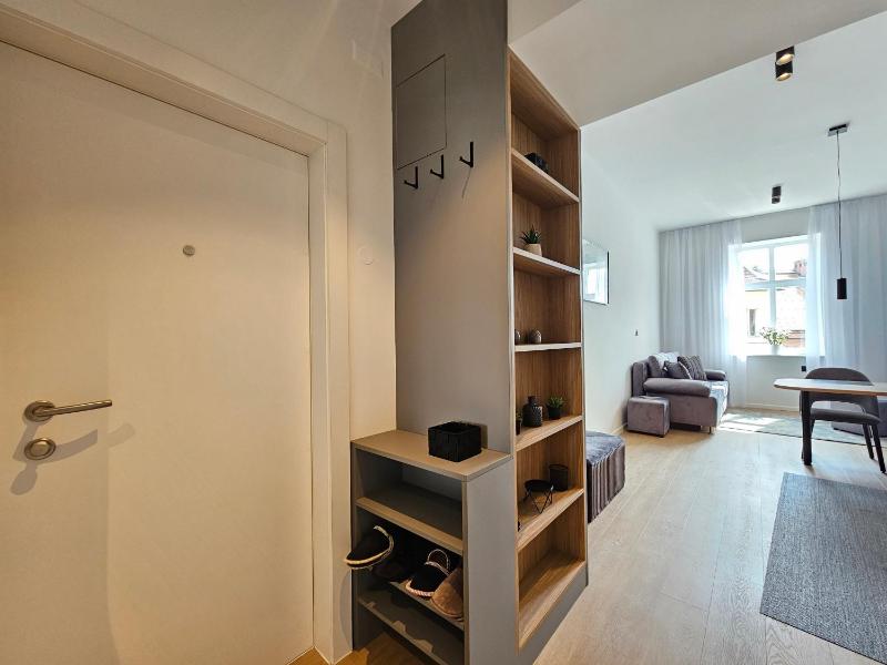 Elegant Teo Apartment TourAs in Ljubljana Old Town - image 12