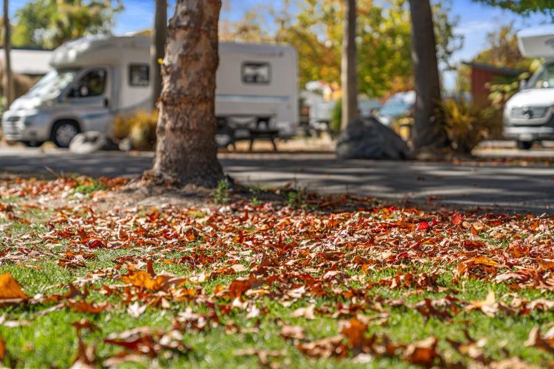 Tasman Holiday Parks - Christchurch - image 16