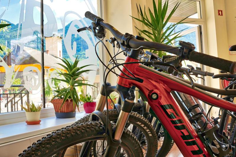 Family Room with Private Bathroom image 4