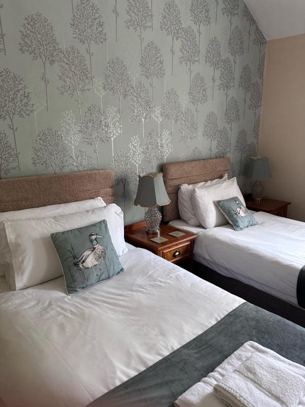 Main Lodge - Twin Room image 3