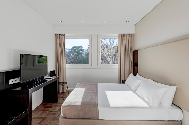 Superior Suite image 4