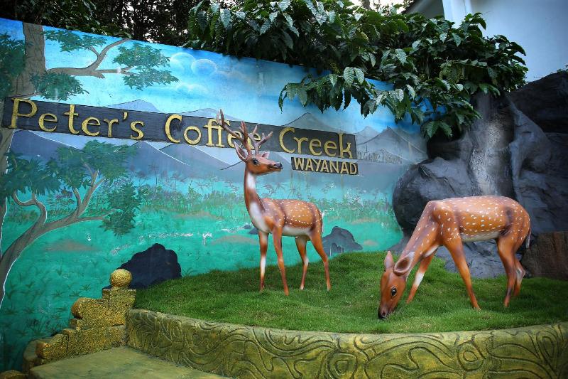 Peter's Coffee Creek Wayanad Pool Resort - image 38