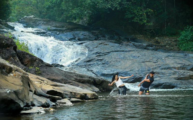 Peter's Coffee Creek Wayanad Pool Resort - image 30