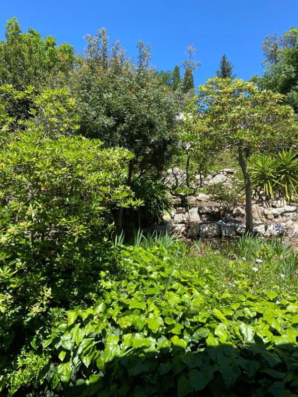 Double Room with Garden View image 4