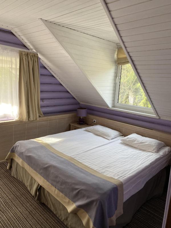Double or Twin Room image 1