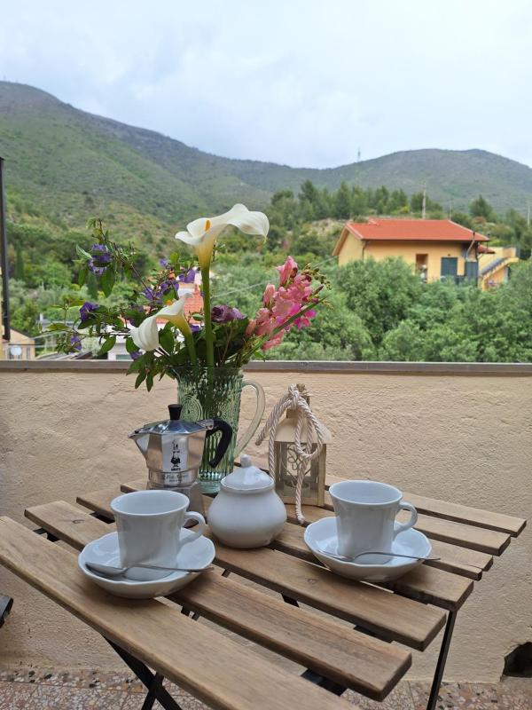 Casa Iris Images