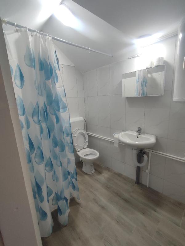 One-bedroom Loft Apartment  image 1