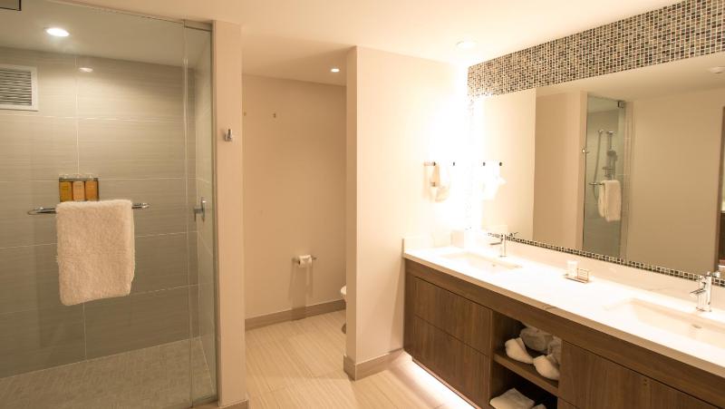 Deluxe King Room image 4