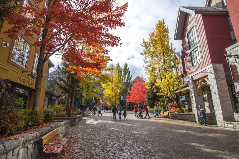 Bear Lodge Whistler Village - Spectacular Location on Village Stroll Designer Remodel - image 37