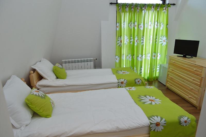 Standard Twin Room with Mountain View image 2
