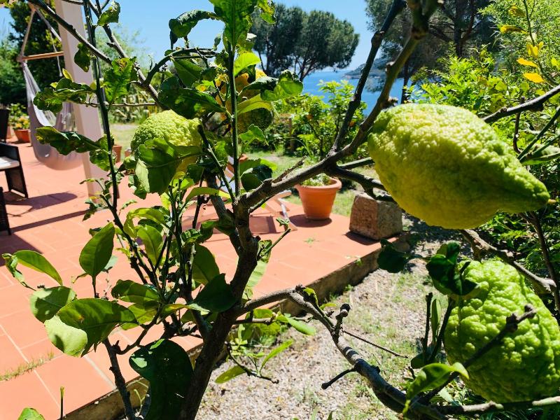 Case dei limoni sul mare - image 28