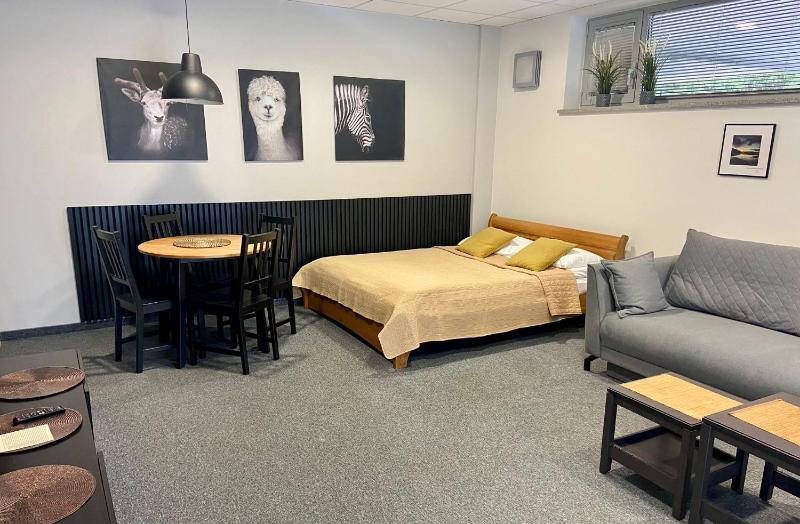 One-Bedroom Apartment image 4