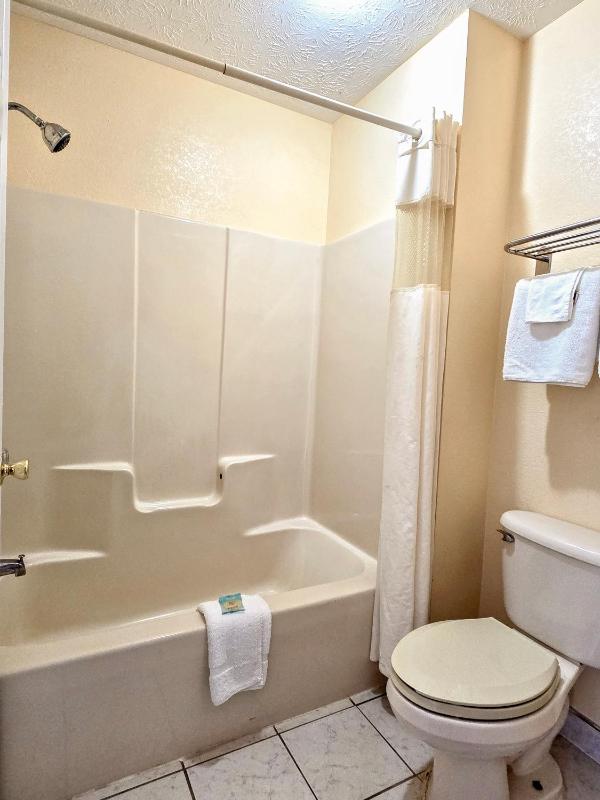 Superior King Suite image 4