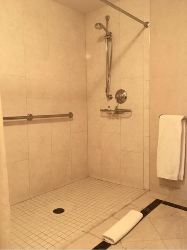 King Room with Roll-In Shower - Disability Access image 2