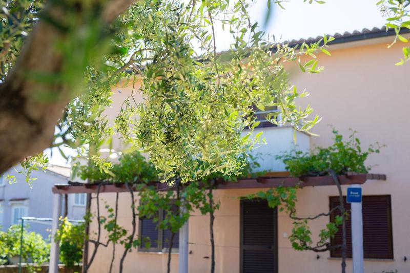 Apartman Sokolovski - image 17