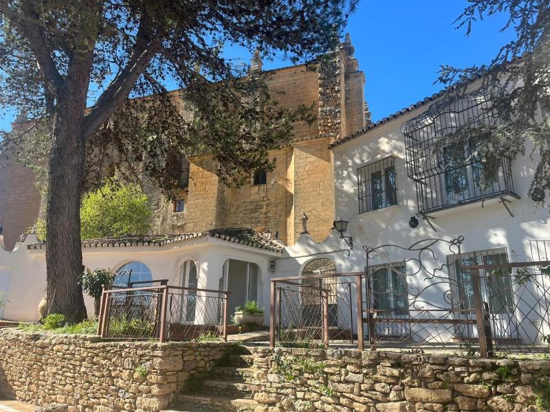 Hotel Boutique Palacio De La Duquesa - image 11