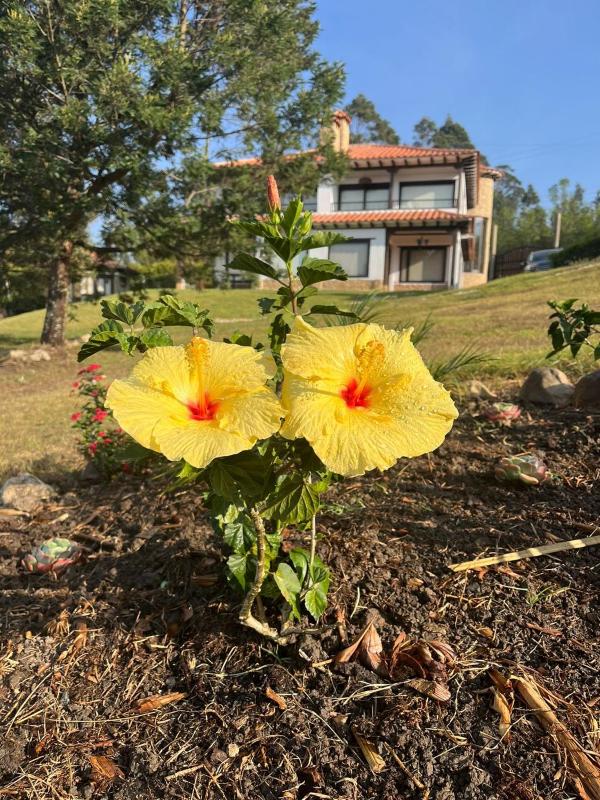 Casa Edmond - image 36