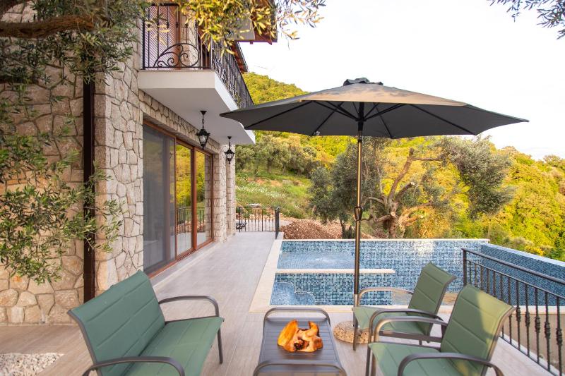 Villa Salc - image 7