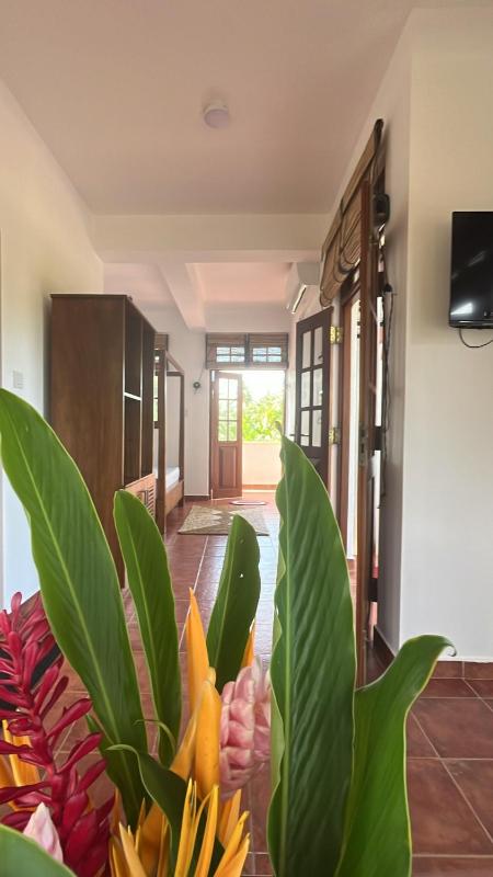 Beach Club Apartments - image 38