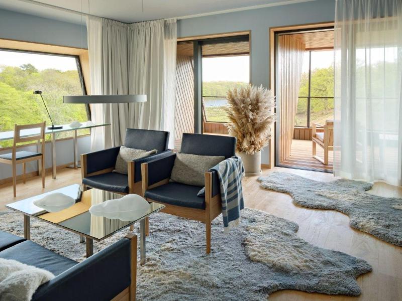 Deluxe Suite image 3