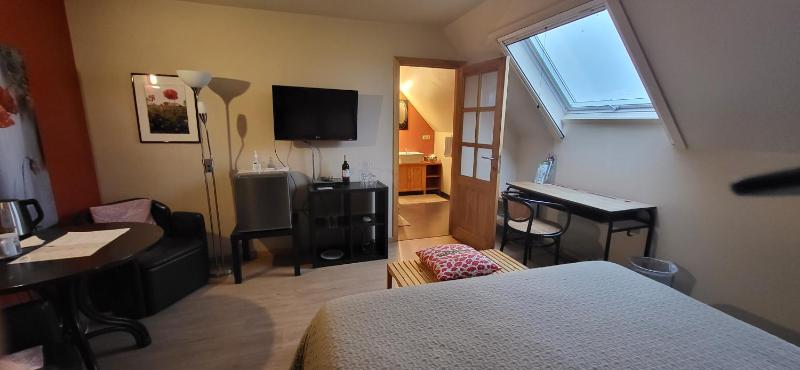 Standard Double Room image 3