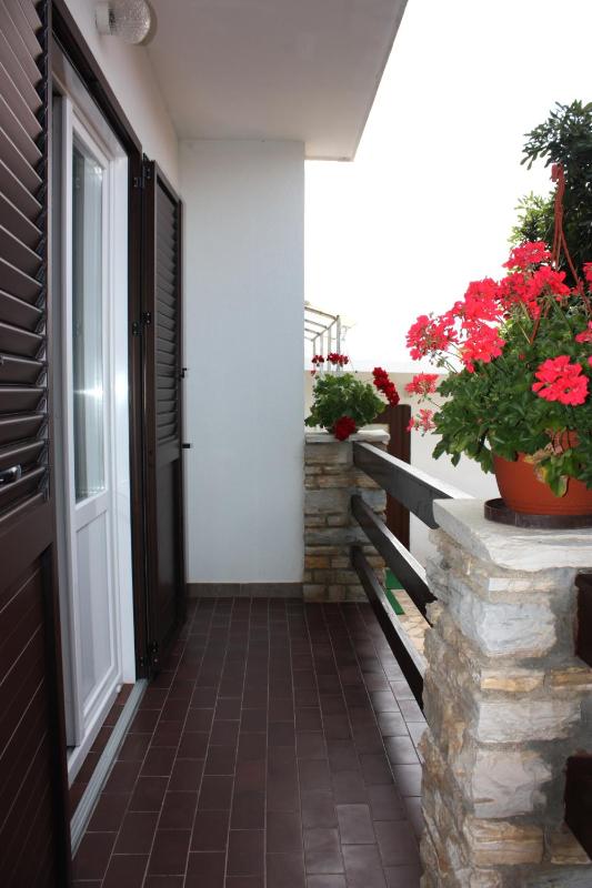 Apartments Jelica - image 8