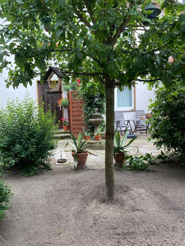 Apartment with Terrace image 3