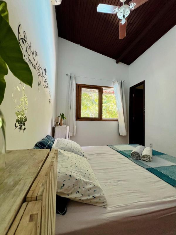 Tropical Hostel - image 6