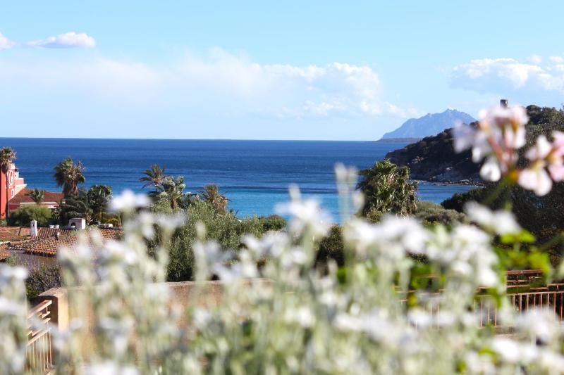 One-Bedroom Apartment with Terrace and Sea View image 1