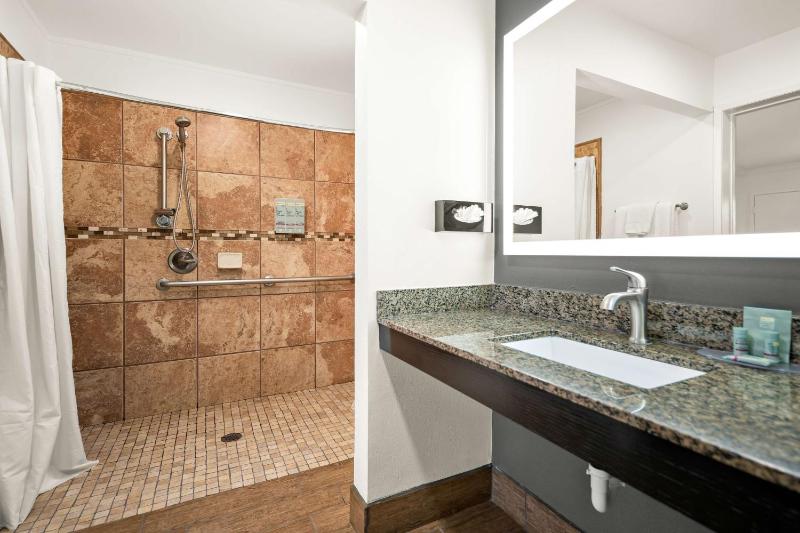 King Room with Roll In Shower-Disabilty Access image 2