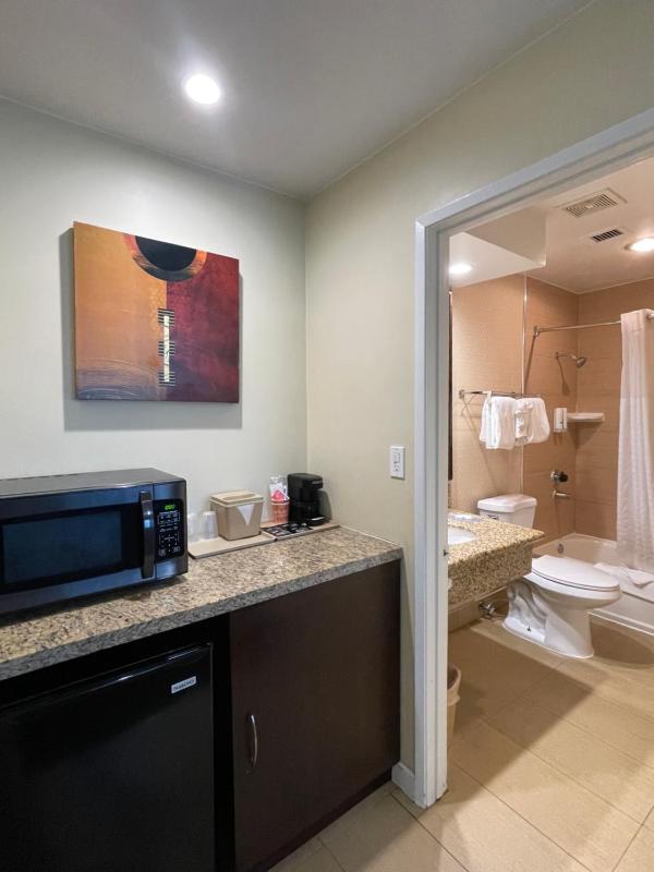 One Room Suite with Sofa bed - Non Smoking image 3