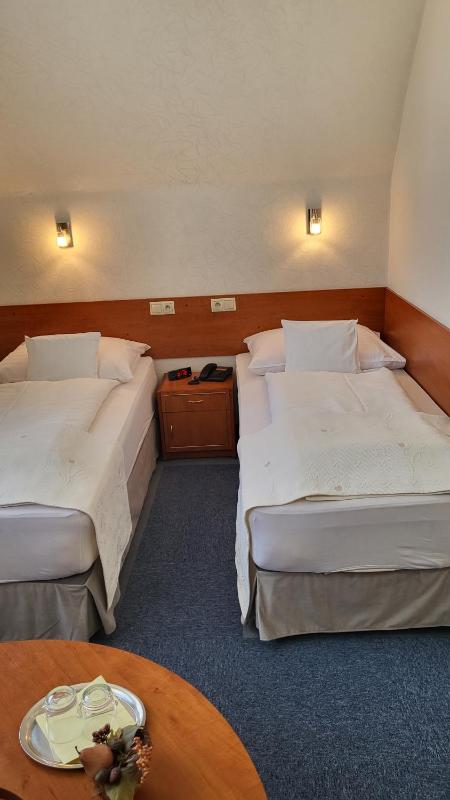 Standard Twin Room image 4