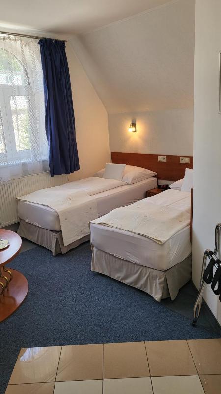 Standard Twin Room image 3