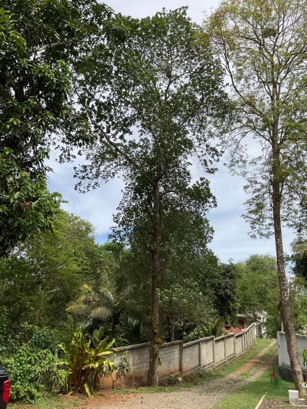 Villa Rukaththana UNAKURUWA - image 11