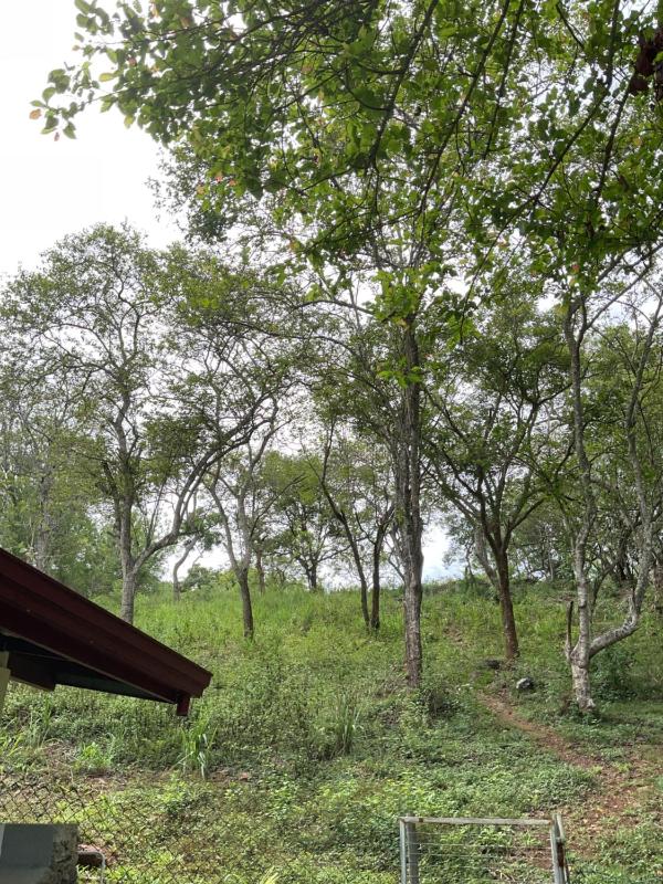 Villa Rukaththana UNAKURUWA - image 9