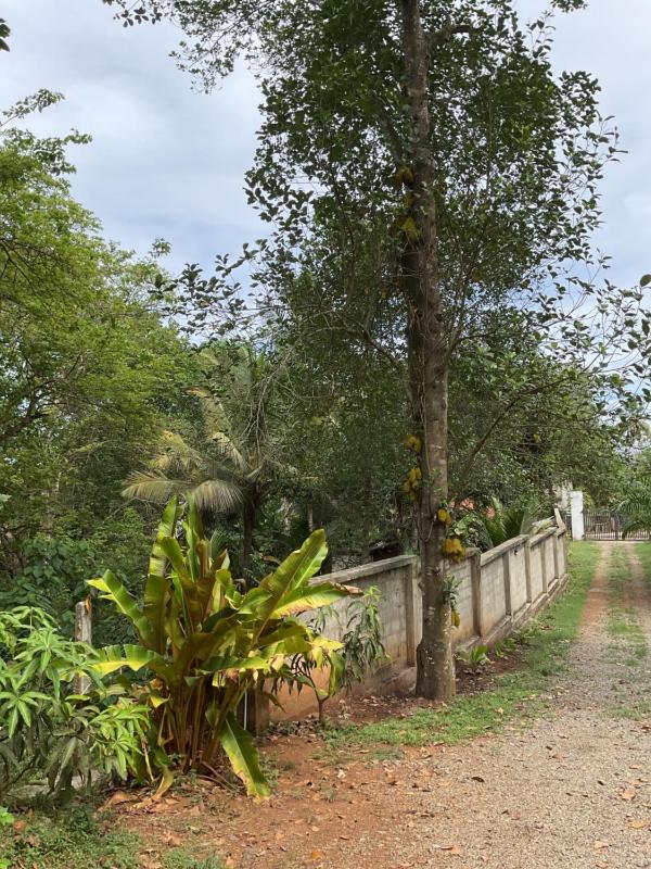 Villa Rukaththana UNAKURUWA - image 12