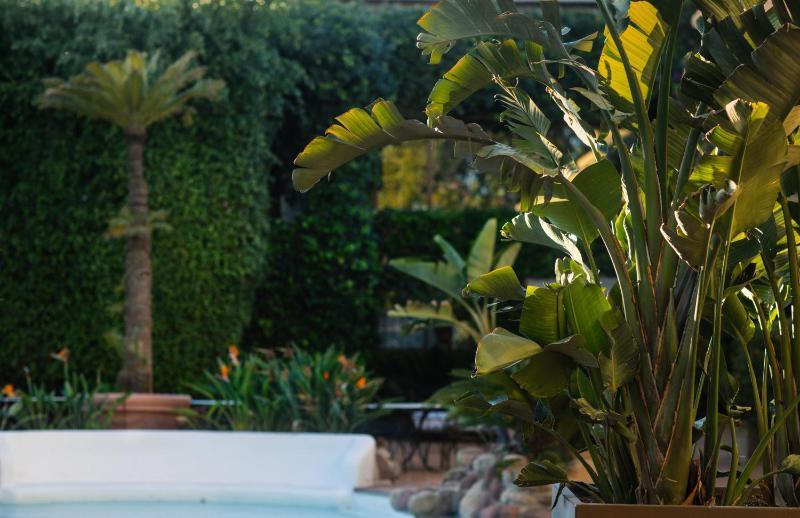 Hotel Swiss Moraira - image 30