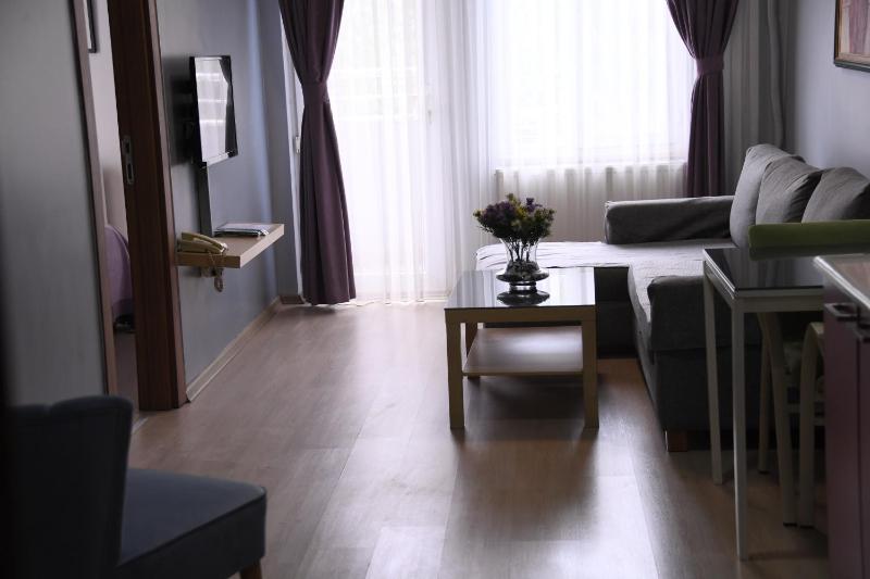 One-Bedroom Apartment image 3