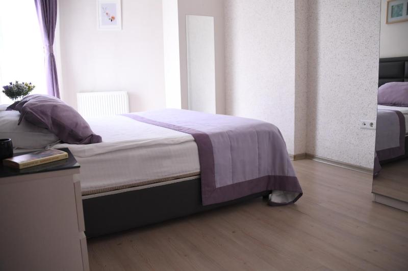 One-Bedroom Apartment image 4