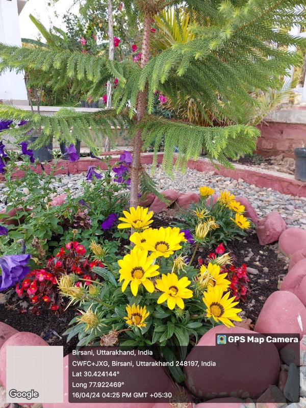 PRITHVI FOREST HOMESTAY - image 32
