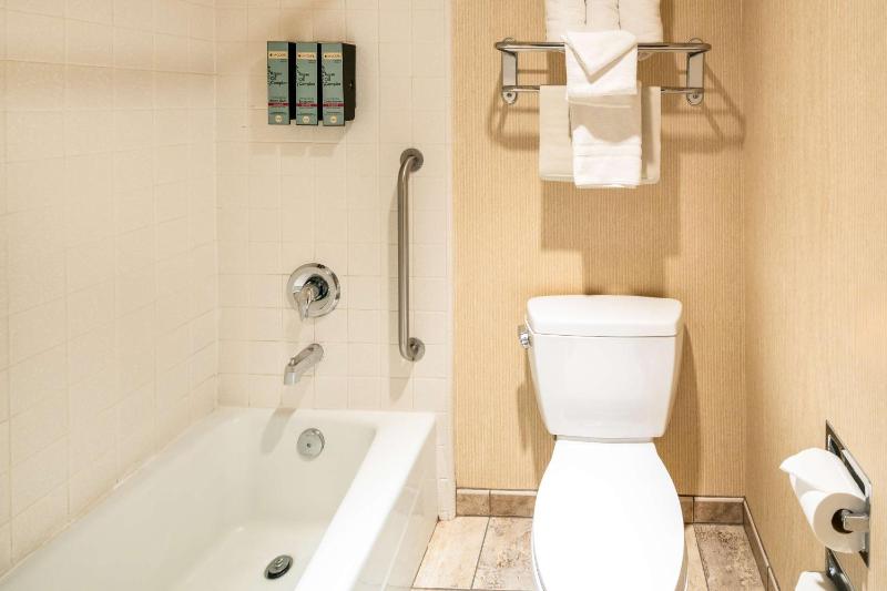 King Room - Pet Friendly image 2