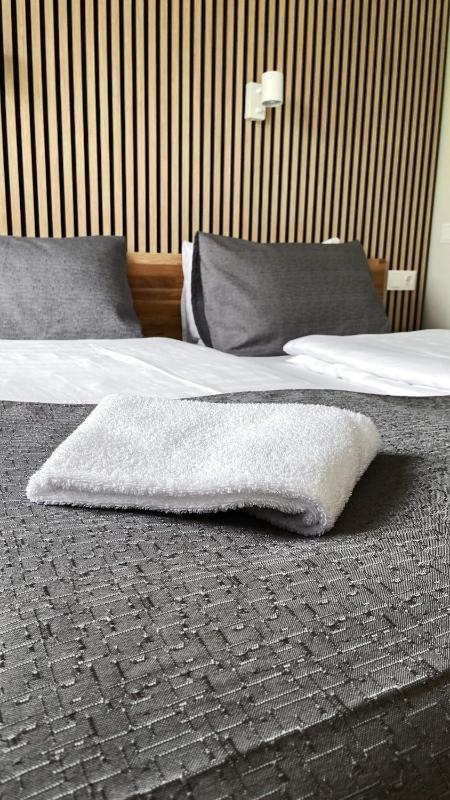 Double or Twin Room image 4